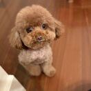 Joyce_629
