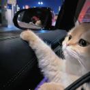 李世玉的头像-梦马考研