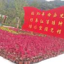 青青yo怠   13456029465