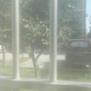 用户93236013的头像-拟人圈