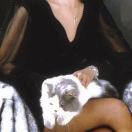 Domus转租&房东直租