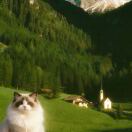 u客直谈实名认证孙浛露