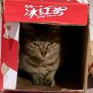 View Meowbox's Profile