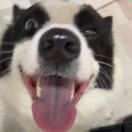 碗面只吃碗