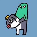 悉尼求租