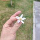 破碎的INFP的头像-cg男孩