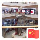 龙先生的头像