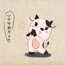 枫默home的头像