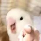 Dunaskin Mill转租