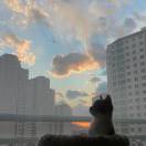 此物亦可殇的头像-梦马考研