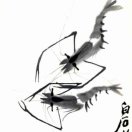 xia徐红霞