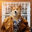 赵先生的头像
