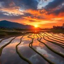 麒羽奶奶