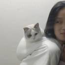 江桥
