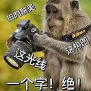 摄影师冬si