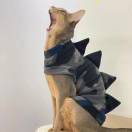 西瓜被可口可乐买走了