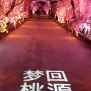 胡先生的头像