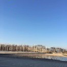 阿丹