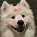 张女士的头像