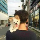 李先生的头像