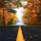 王振彬的头像-传承国学正统持焰学堂