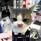 用户头像