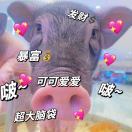 小颖子