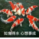 建安汇用户头像