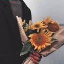 枫Phong的头像-源码库