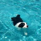 Latymer Court转租&房东直租