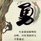 彭先生的头像