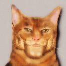 生活家的钢琴谱