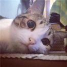 💗 請訆㦱䦹贰💘