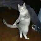 非人磨墨墨磨人