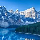 飞落的头像-cok论坛 - AGREE动漫游戏