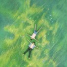 睡会吧 - 校园论坛